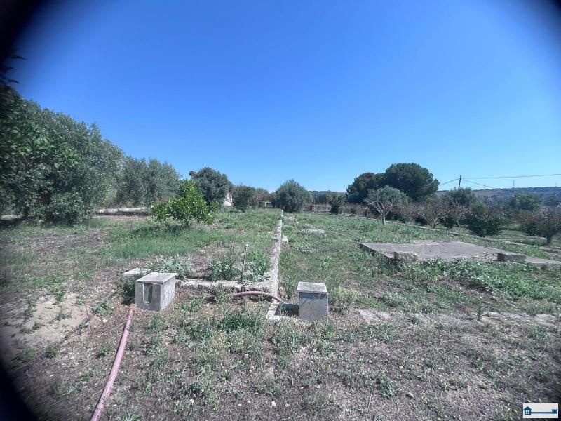 Immagine WhatsApp 2025-07-23 ore 17.39.11_709e8c11.jpg